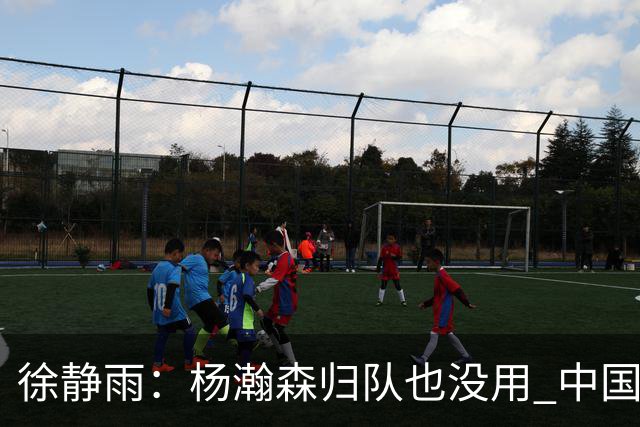 徐静雨：杨瀚森归队也没用 中国男篮跟日本已完全不是一个等级